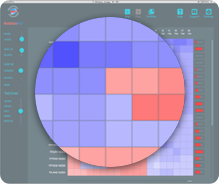 Heatmap